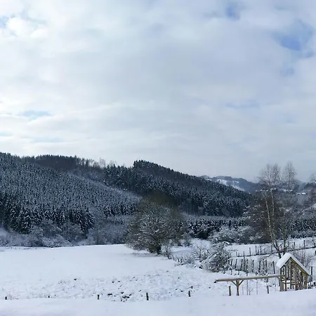 Luxurious Holiday In With Sauna Tatil Evi Malmedy